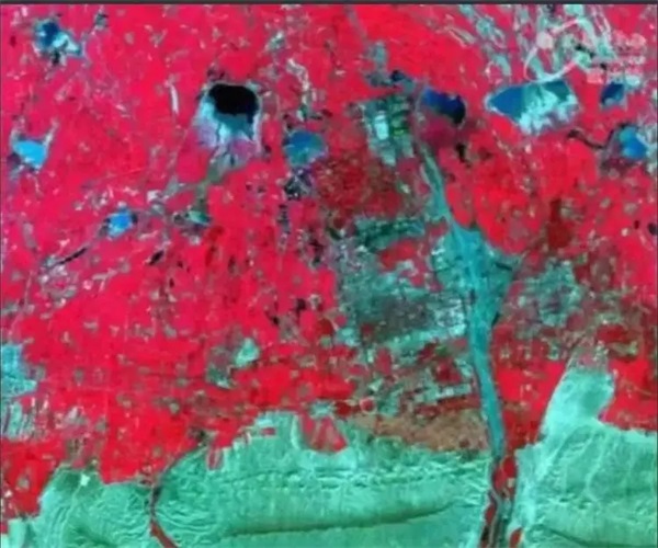 8.webp.jpg 8.webp.jpg