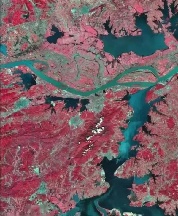 9.webp.jpg 9.webp.jpg