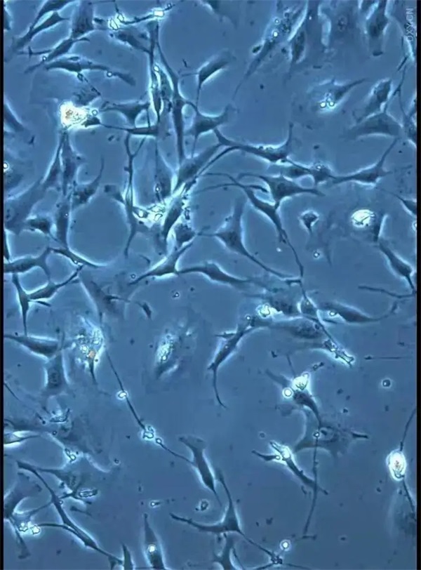 12.webp.jpg 12.webp.jpg