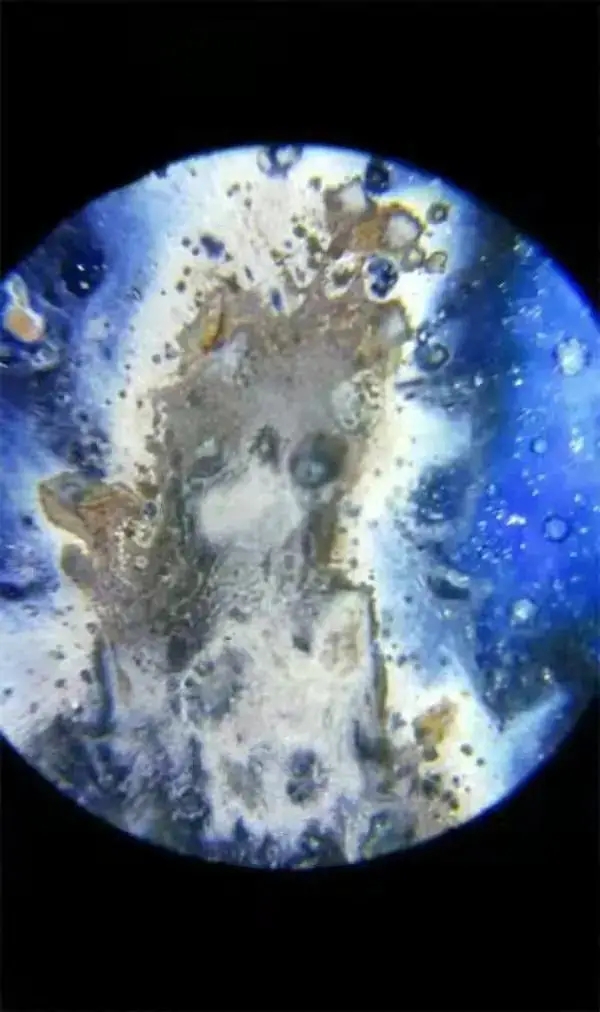 13.webp.jpg 13.webp.jpg