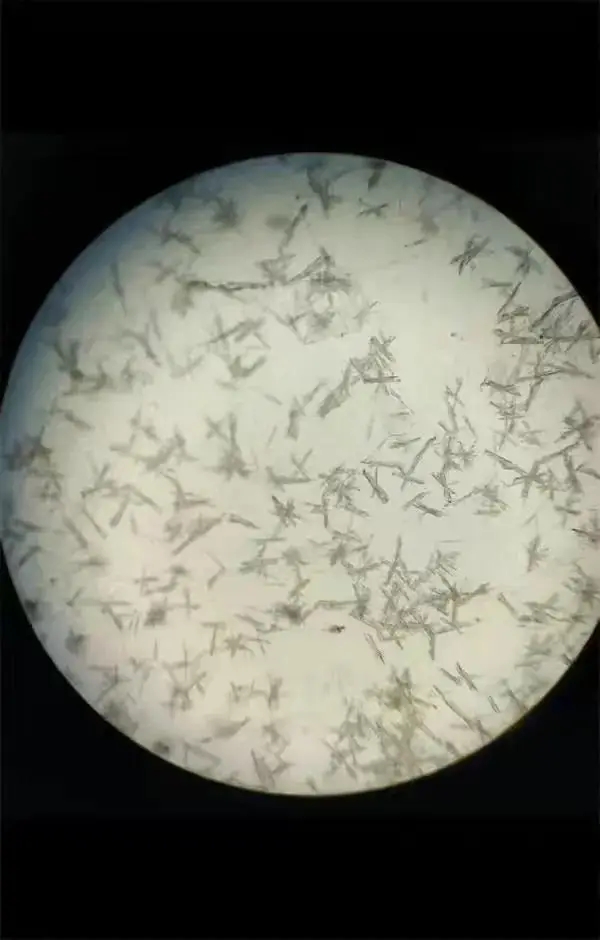 14.webp.jpg 14.webp.jpg