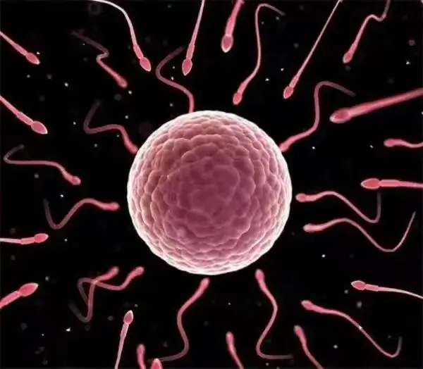 16.webp.jpg 16.webp.jpg