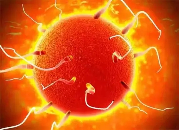 17.webp.jpg 17.webp.jpg