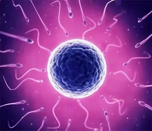 18.webp.jpg 18.webp.jpg