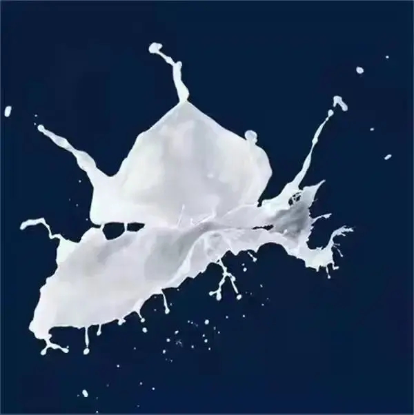 19.webp.jpg 19.webp.jpg