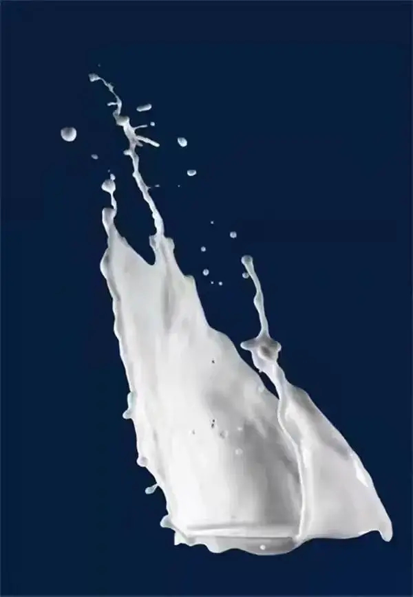 20.webp.jpg 20.webp.jpg