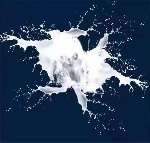 21.webp.jpg 21.webp.jpg