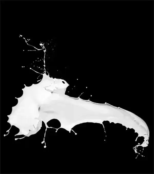 23.webp.jpg 23.webp.jpg