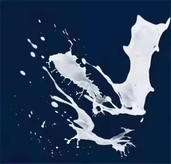 24.webp.jpg 24.webp.jpg