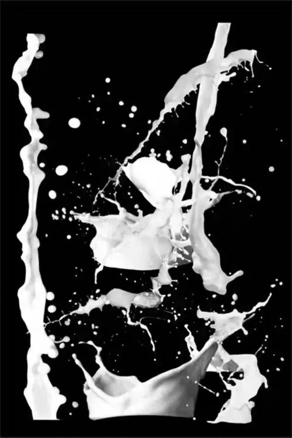 25.webp.jpg 25.webp.jpg