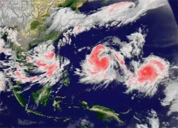 26.webp.jpg 26.webp.jpg