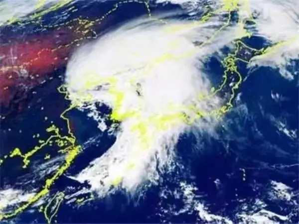 27.webp.jpg 27.webp.jpg