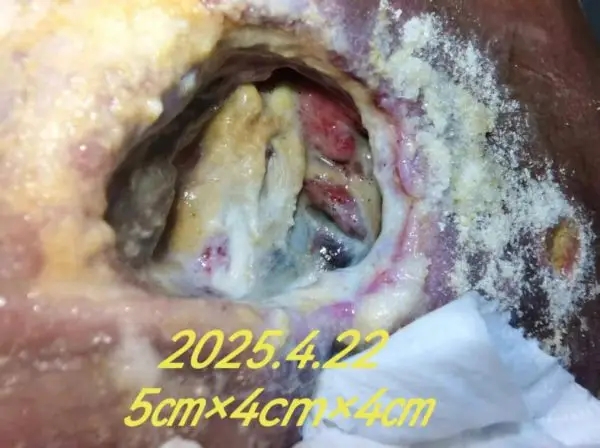 10.webp.jpg 10.webp.jpg