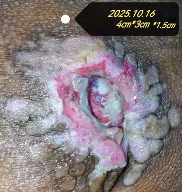 11.webp.jpg 11.webp.jpg