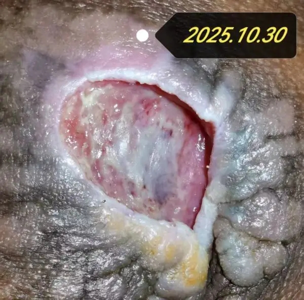 12.webp.jpg 12.webp.jpg