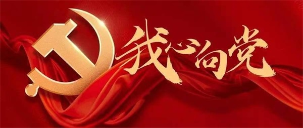红心永向党 实干护民生 ——王国江深耕石墨烯康养献礼建党节