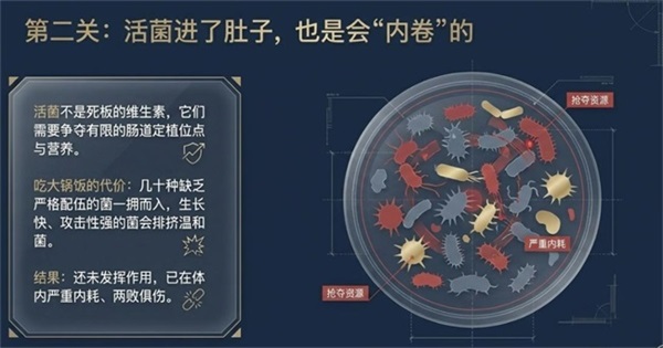 4.jpg 4.jpg