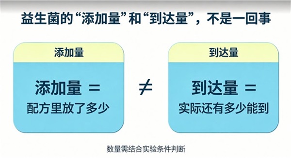 益生菌的“添加量”和“到达量”，不是一回事